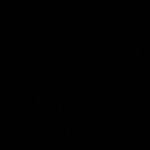 Meet your Posher, Aubrianna